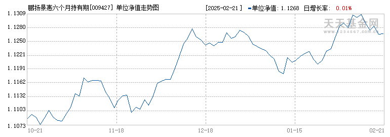 鹏扬景惠六个月持有期混合C(009427)历史净值