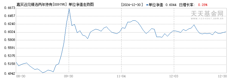 嘉实远见精选两年持有期混合(009795)历史净值