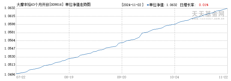 大摩丰裕63个月开放债券(009816)历史净值