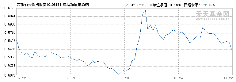 农银新兴消费股票(010815)历史净值