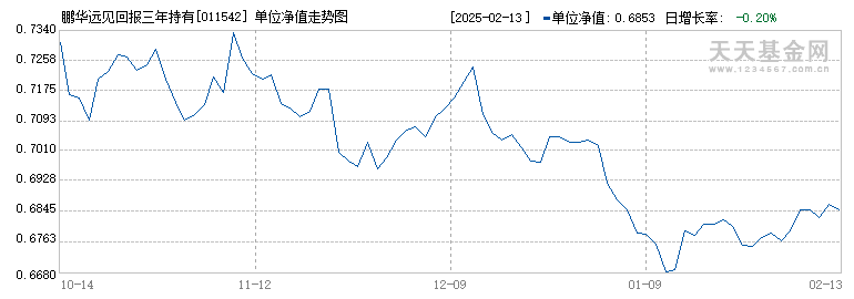 鹏华远见回报三年持有混合(011542)历史净值