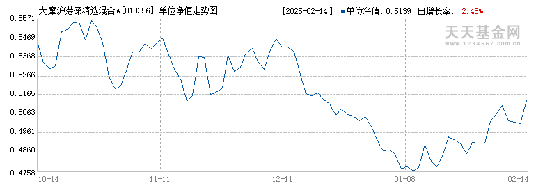 大摩沪港深精选混合A(013356)历史净值