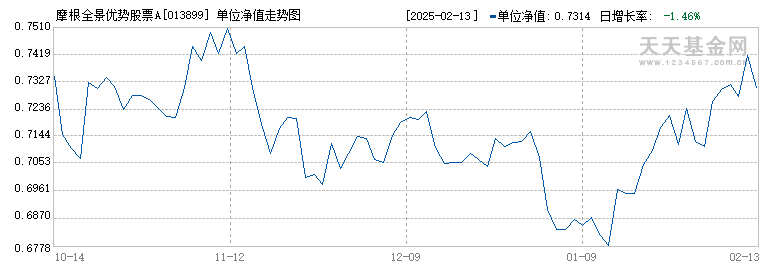 摩根全景优势股票A(013899)历史净值