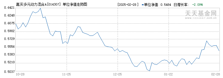 嘉实多元动力混合A(014307)历史净值