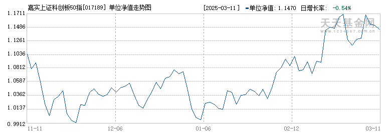 嘉实上证科创板50指数增强发起式C(017189)历史净值