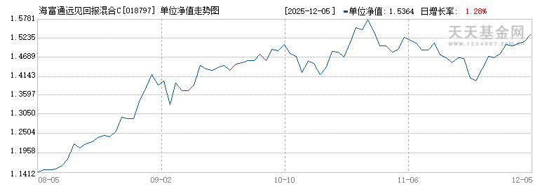海富通远见回报混合C(018797)历史净值