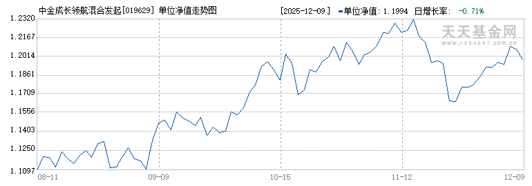 中金成长领航混合发起C(019629)历史净值
