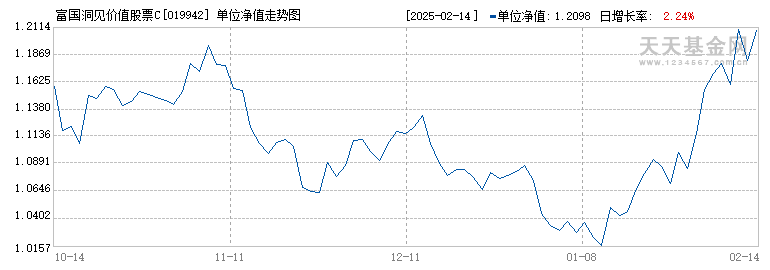 富国洞见价值股票C(019942)历史净值