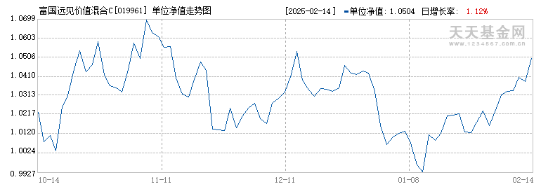 富国远见价值混合C(019961)历史净值