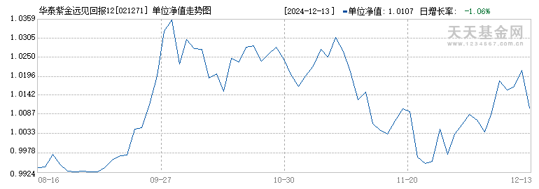 华泰紫金远见回报12个月持有混合A(021271)历史净值