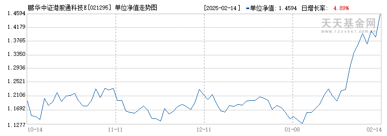 鹏华中证港股通科技ETF发起式联接C(021295)历史净值