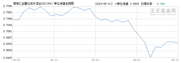 渤海汇金量化成长混合C(021384)历史净值