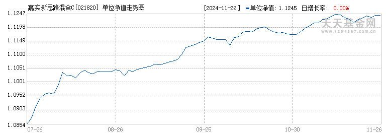 嘉实新思路混合C(021820)历史净值