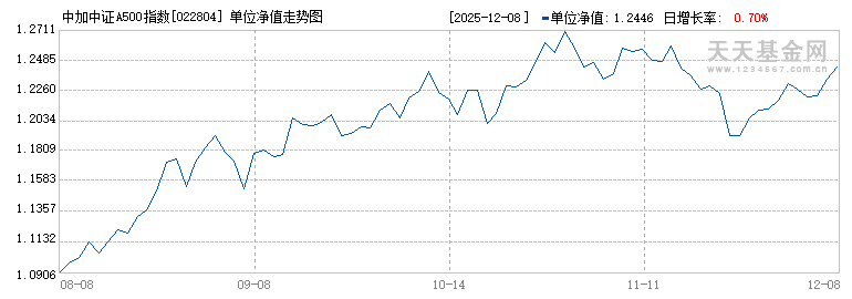 中加中证A500指数增强发起式A(022804)历史净值