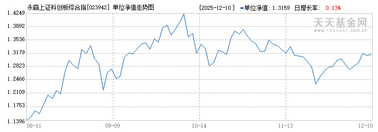 永赢上证科创板综合指数C(023942)历史净值