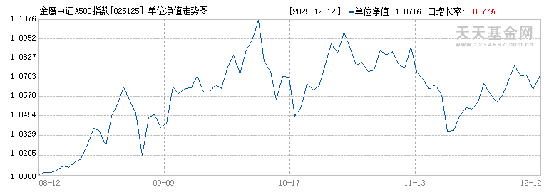 金鹰中证A500指数发起B(025125)历史净值
