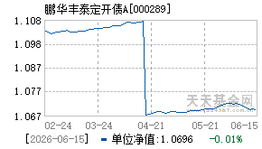 000289基金近期净值走势图