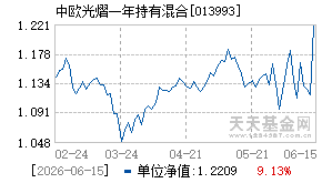 013993基金近期净值走势图