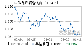 021306基金近期净值走势图